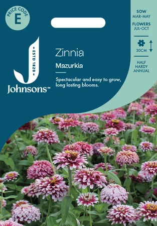 Zinnia Mazurkia - image 1