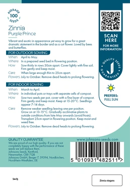 Zinnia Purple Prince - image 2