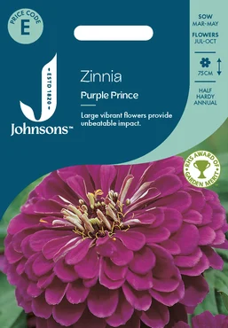Zinnia Purple Prince - image 1
